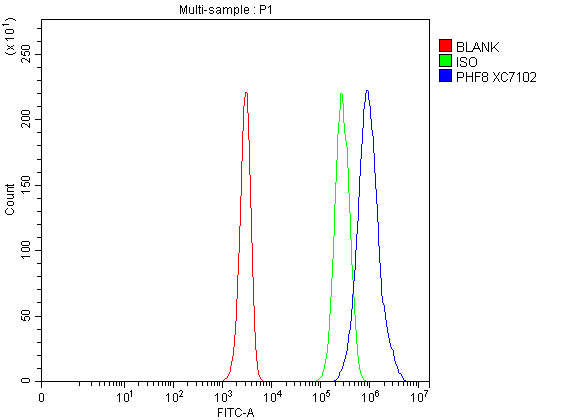Flow Cytometry analysis of Jurkat cells using anti-PHF8 antibody (A03288-2)