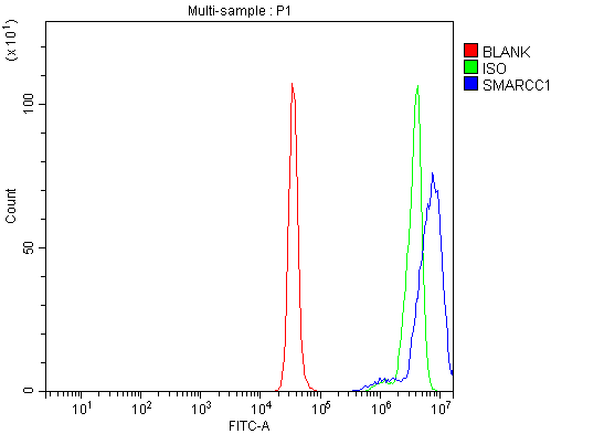 Flow Cytometry analysis of K562 cells using anti-SMARCC1/BAF155 antibody (A03303-3)