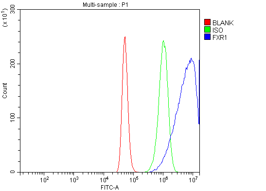 a03308 2 fxr1 primary antibodies fcm testing 7