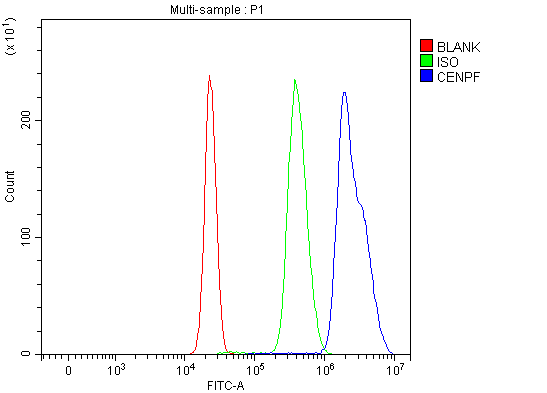  Flow Cytometry analysis of HepG2 cells using anti-CENPF antibody (A03311-1)