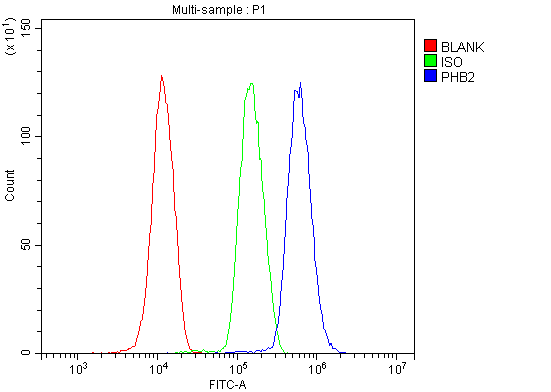 a03315 3 phb2 primary antibodies fcm testing 8