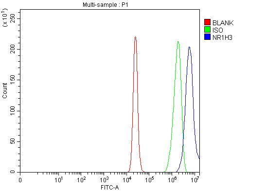  Flow Cytometry analysis of RT4 cells using anti-NR1H3 antibody (A03331-3)