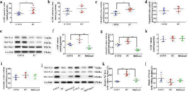 a03335 41522_2023_433_fig6_html
