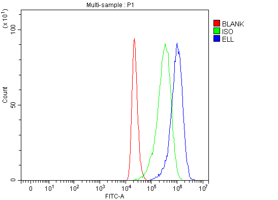  Flow Cytometry analysis of 293T cells using anti-ELL antibody (A03336-1)