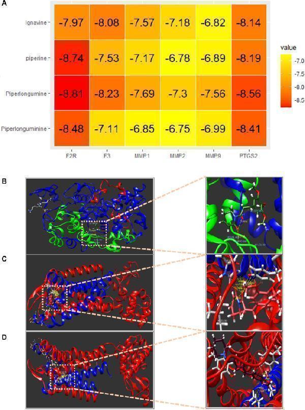 a03352 1 fphar 14 1282943 g005