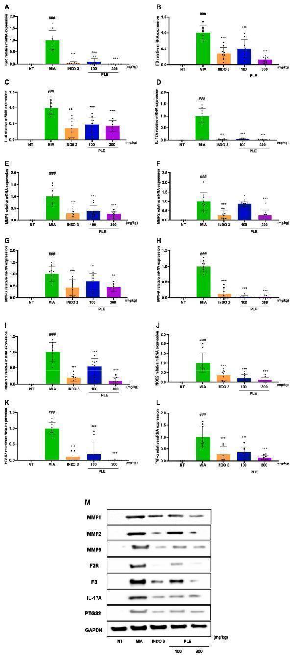 a03352 1 fphar 14 1282943 g013