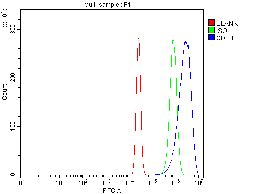 Flow Cytometry analysis of A431 cells using anti-P cadherin/CDH3 antibody (A03353-2)