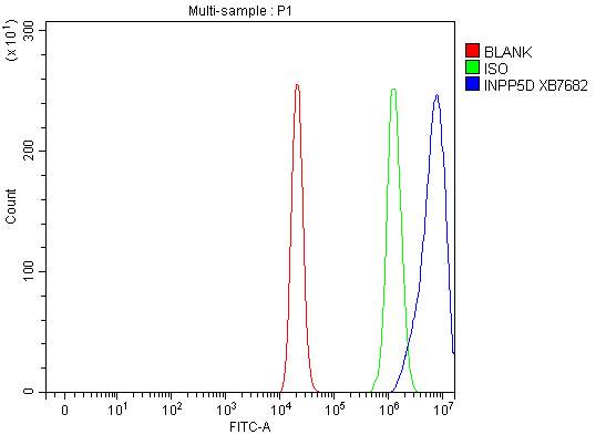 a03358 1 inpp5d primary antibodies ihc testing 2