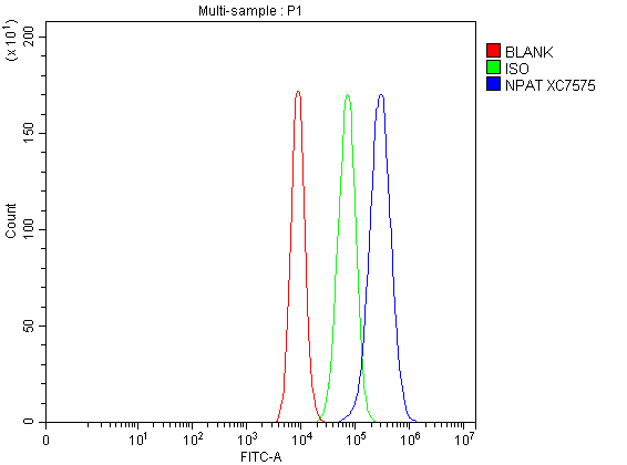 a03387 1 npat primary antibodies fcm testing 1
