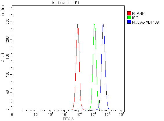 Flow Cytometry analysis of A431 cells using anti-NCOA6 antibody (A03397)