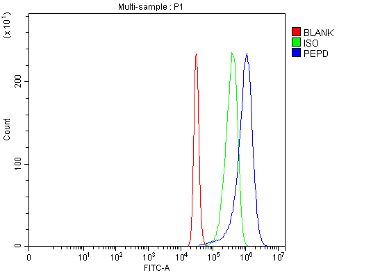  Flow Cytometry analysis of 293T cells using anti-PEPD antibody (A03417-1)