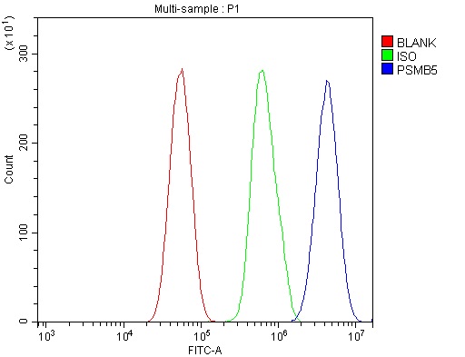 a03418 1 psmb5 primary antibodies fcm testing 8