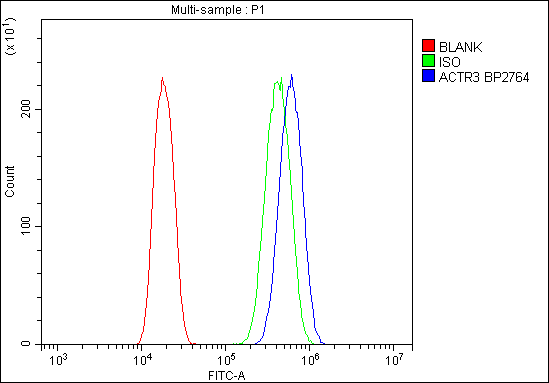Figure 2. Flow Cytometry analysis of A431 cells using anti-Arp3/ACTR3 antibody (A03423-2). Overlay histogram showing A431 cells stained with A03423-2 (Blue line). To facilitate intracellular staining, cells were fixed with 4% paraformaldehyde and permeabilized with permeabilization buffer. The cells were blocked with 10% normal goat serum. And then incubated with rabbit anti-Arp3/ACTR3 Antibody (A03423-2,1microg/1x106 cells) for 30 min at 20°C. DyLight?488 conjugated goat anti-rabbit IgG (BA1127, 5-10microg/1x106 cells) was used as secondary antibody for 30 minutes at 20°C. Isotype control antibody (Green line) was rabbit IgG (1microg/1x106) used under the same conditions. Unlabelled sample without incubation with primary antibody and secondary antibody (Red line) was used as a blank control.