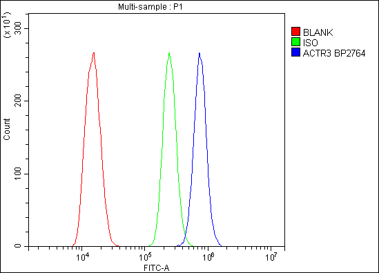Figure 3. Flow Cytometry analysis of ANA-1 cells using anti-Arp3/ACTR3 antibody (A03423-2). Overlay histogram showing ANA-1 cells stained with A03423-2 (Blue line). To facilitate intracellular staining, cells were fixed with 4% paraformaldehyde and permeabilized with permeabilization buffer. The cells were blocked with 10% normal goat serum. And then incubated with rabbit anti-Arp3/ACTR3 Antibody (A03423-2,1microg/1x106 cells) for 30 min at 20°C. DyLight?488 conjugated goat anti-rabbit IgG (BA1127, 5-10microg/1x106 cells) was used as secondary antibody for 30 minutes at 20°C. Isotype control antibody (Green line) was rabbit IgG (1microg/1x106) used under the same conditions. Unlabelled sample without incubation with primary antibody and secondary antibody (Red line) was used as a blank control.