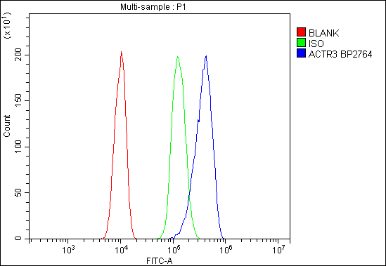 Figure 4. Flow Cytometry analysis of C6 cells using anti-Arp3/ACTR3 antibody (A03423-2). Overlay histogram showing C6 cells stained with A03423-2 (Blue line). To facilitate intracellular staining, cells were fixed with 4% paraformaldehyde and permeabilized with permeabilization buffer. The cells were blocked with 10% normal goat serum. And then incubated with rabbit anti-Arp3/ACTR3 Antibody (A03423-2,1microg/1x106 cells) for 30 min at 20°C. DyLight?488 conjugated goat anti-rabbit IgG (BA1127, 5-10microg/1x106 cells) was used as secondary antibody for 30 minutes at 20°C. Isotype control antibody (Green line) was rabbit IgG (1microg/1x106) used under the same conditions. Unlabelled sample without incubation with primary antibody and secondary antibody (Red line) was used as a blank control.
