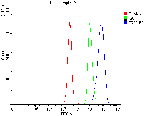  Flow Cytometry analysis of Daudi cells using anti-TROVE2/SS-A/RO60 antibody (A03428-1)