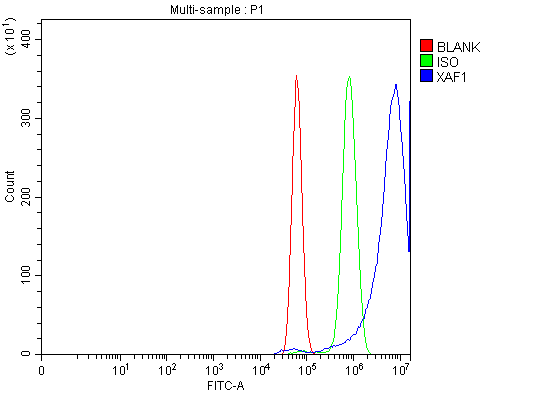 a03432 1 xaf1 primary antibodies fcm testing 5