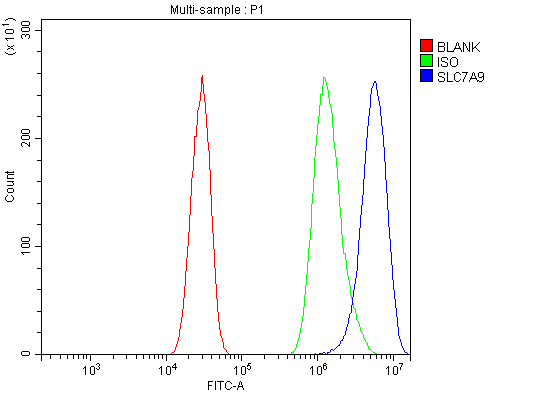 a03445 1 slc7a9 primary antibodies fcm testing 2