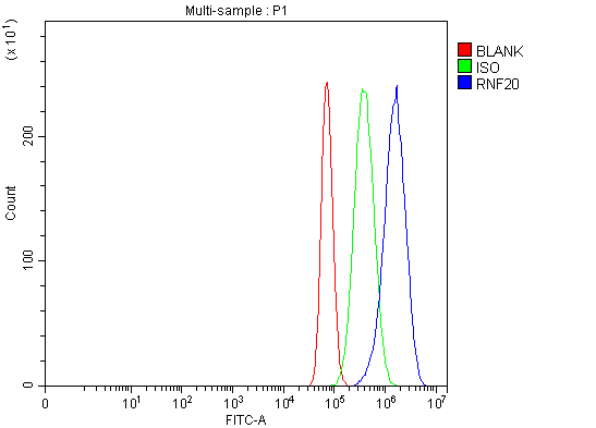 a03457 1 rnf20 primary antibodies fcm testing 3