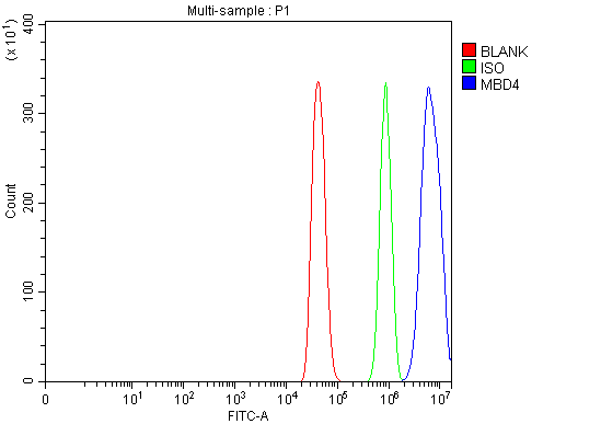 a03462 1 mbd4 primary antibodies fcm testing 2