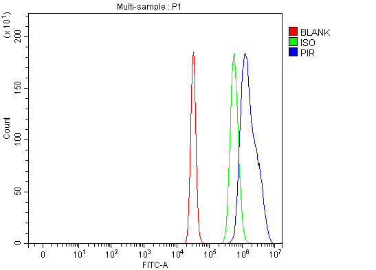  Flow Cytometry analysis of HepG2 cells using anti-PIR antibody (A03468-1)