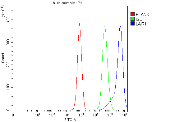  Flow Cytometry analysis of K562 cells using anti-LAIR1 antibody (A03470-2)