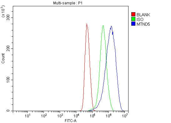 a03488 2 mtnd5 primary antibodies fcm testing 10