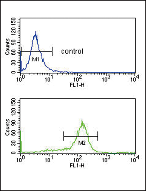a03490 1 anti bat1 antibody c term fc testing 4