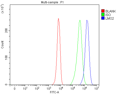  Flow Cytometry analysis of K562 cells using anti-LMO2 antibody (A03502-2)