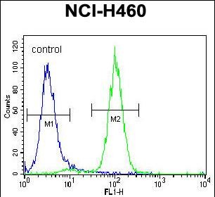 a03519 1 anti ache antibody n term fc testing 4
