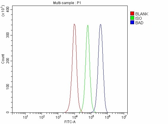  Flow Cytometry analysis of JK cells using anti-BAD antibody (A03520-3)