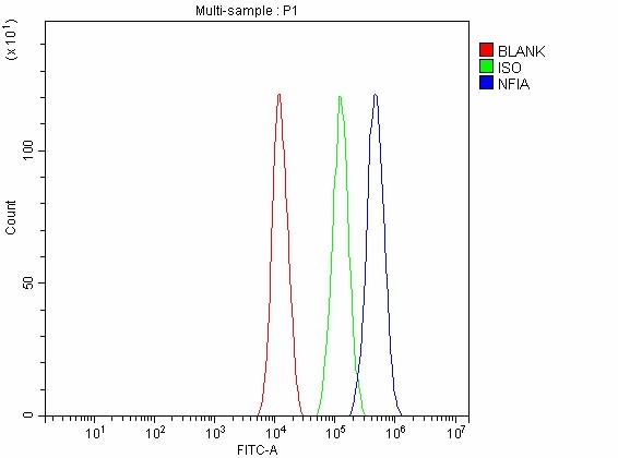 Flow Cytometry analysis of JK cells using anti-NFIA antibody (A03531)