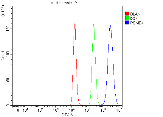 a03544 1 psmd4 primary antibodies fcm testing 11