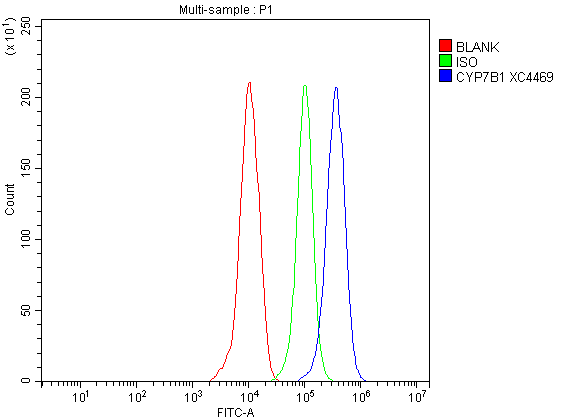 a03545 3 cyp7b1 primary antibodies fcm testing 3