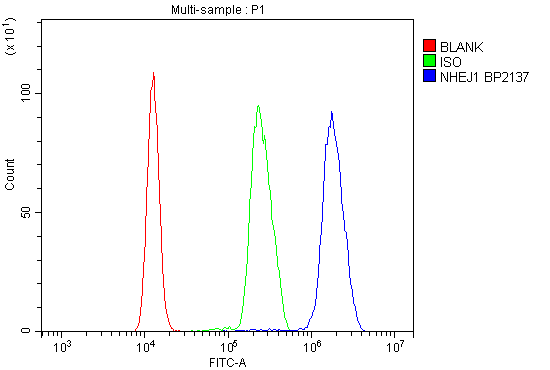 a03552 3 nhej1 primary antibodies fc testing 7