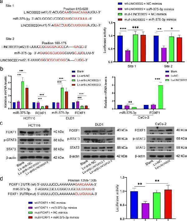 a03563 1 12885_2022_9566_fig6_html