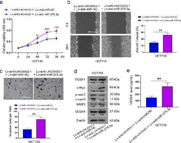 a03563 1 12885_2022_9566_fig7_html