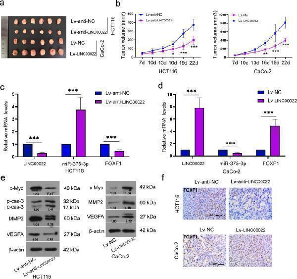a03563 1 12885_2022_9566_fig8_html