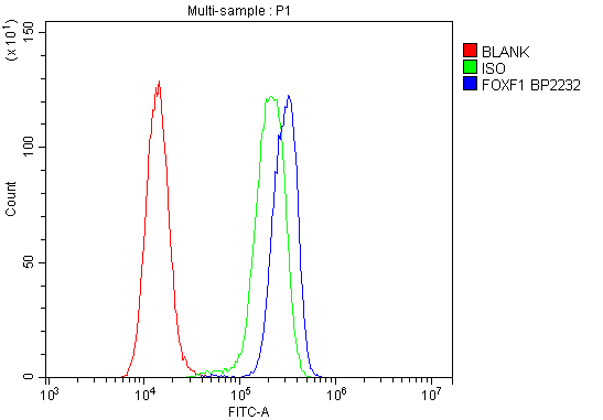 a03563 1 foxf1 primary antibodies fc testing 5