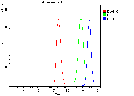 a03579 1 clasp2 primary antibodies fcm testing 2