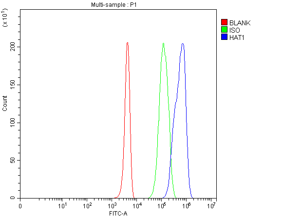 a03596 2 hat1 primary antibodies fcm testing 1