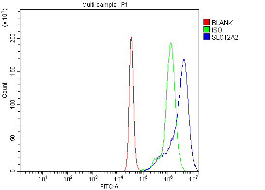 a03603 slc12a2 primary antibodies fcm testing 5