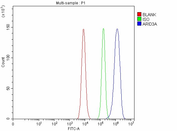 a03604 1 arid3a primary antibodies fcm testing 2