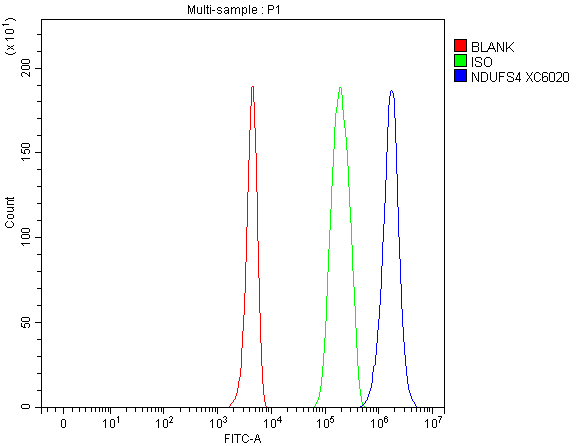 a03608 3 ndufs4 primary antibodies fcm testing 1