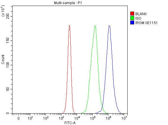 a03614 1 irgm primary antibodies fcm testing 1