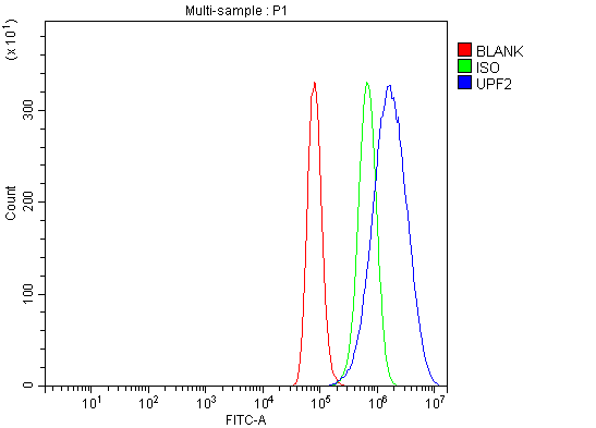 a03627 2 upf2 primary antibodies fcm testing 4