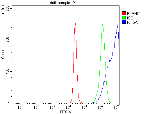  Flow Cytometry analysis of K562 cells using anti-KIF5A antibody (A03635-1)