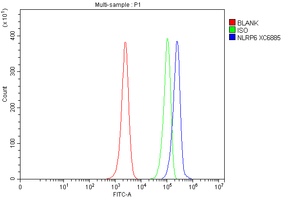 Flow Cytometry analysis of HL-60 cells using anti-NLRP6 antibody (A03636-2)