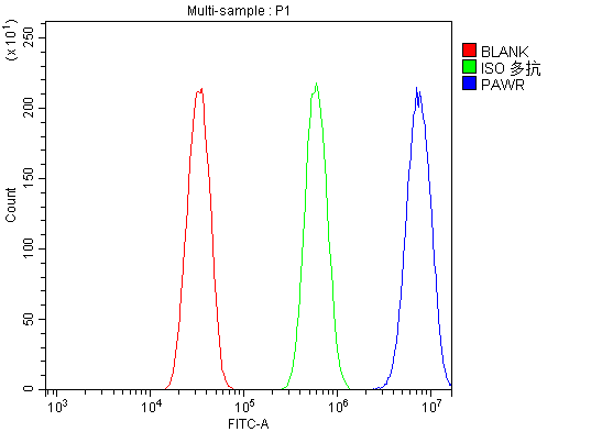 a03637 1 pawr primary antibodies fcm testing 6