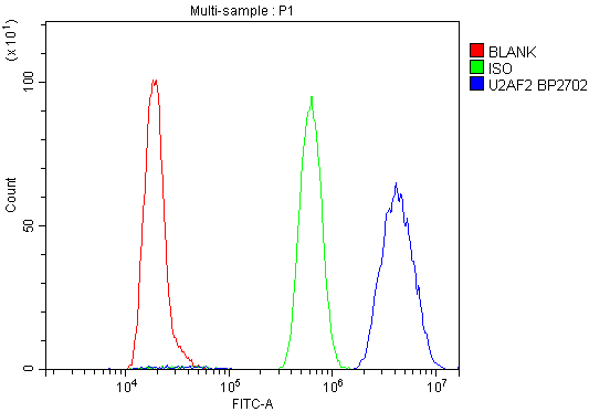 a03639 2 u2af2 primary antibodies fc testing 8_1
